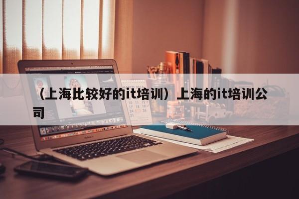 （上海比较好的it培训）上海的it培训公司