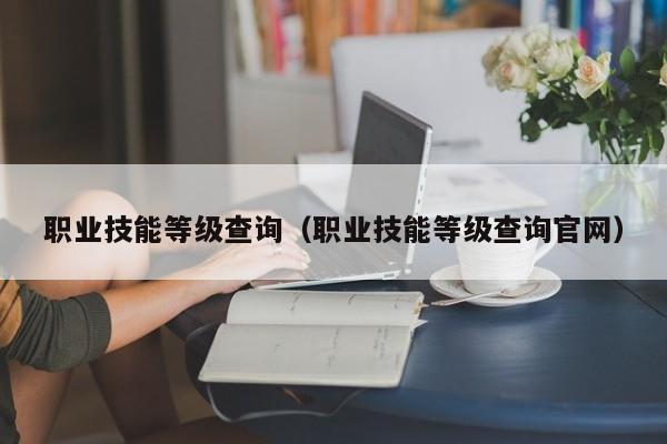 职业技能等级查询（职业技能等级查询官网）