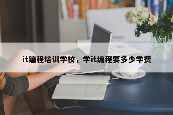 it编程培训学校，学it编程要多少学费