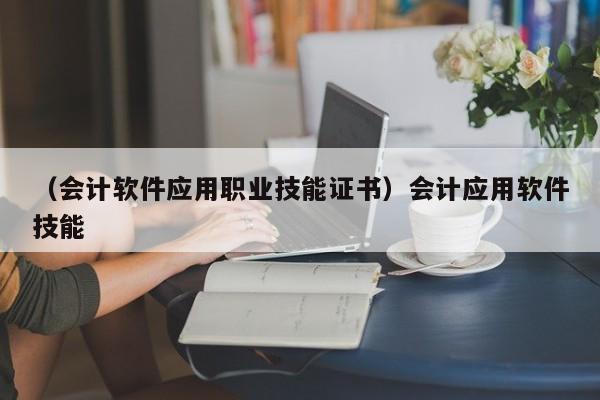 （会计软件应用职业技能证书）会计应用软件技能