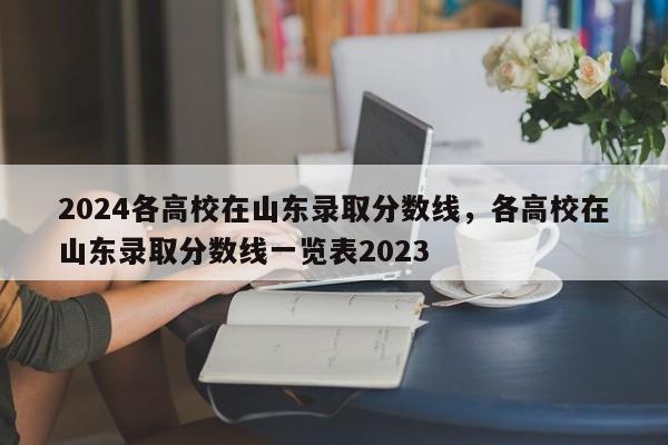 2024各高校在山东录取分数线，各高校在山东录取分数线一览表2023