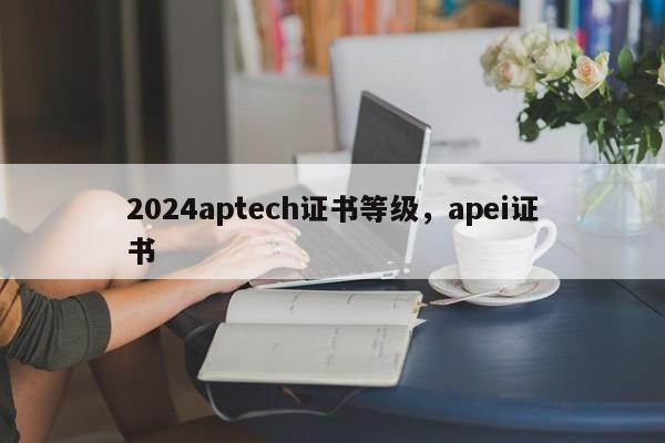 2024aptech证书等级，apei证书