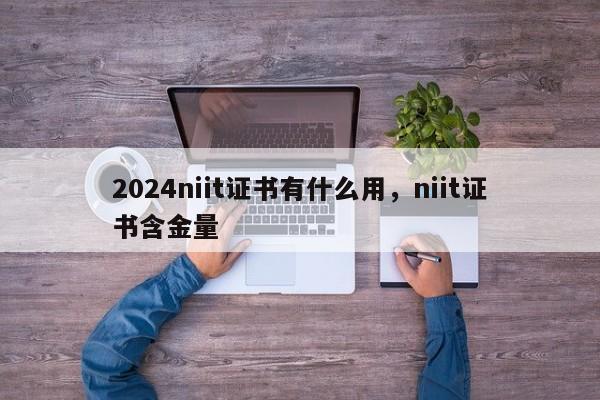 2024niit证书有什么用，niit证书含金量