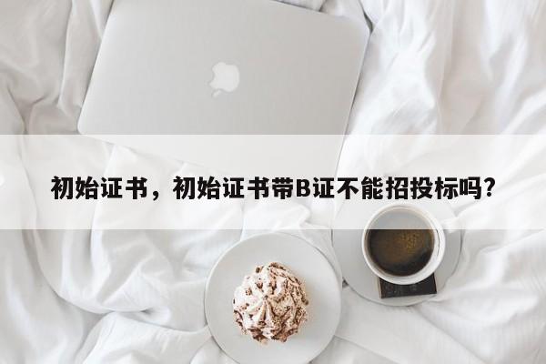 初始证书，初始证书带B证不能招投标吗?