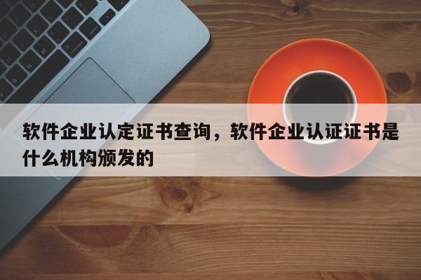 软件企业认定证书查询，软件企业认证证书是什么机构颁发的