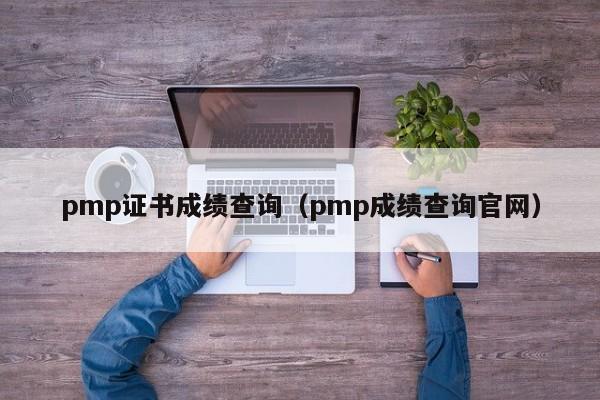 pmp证书成绩查询（pmp成绩查询官网）