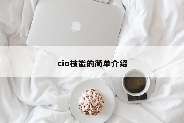 cio技能的简单介绍