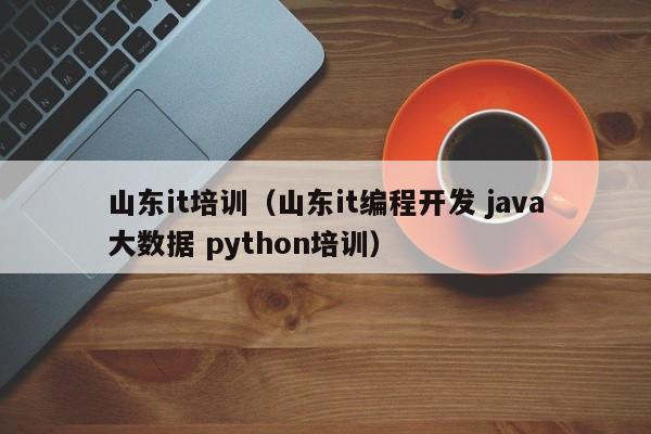 山东it培训（山东it编程开发 java大数据 python培训）