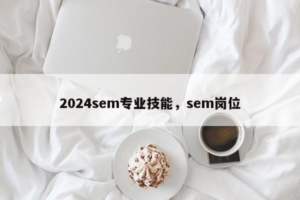 2024sem专业技能，sem岗位