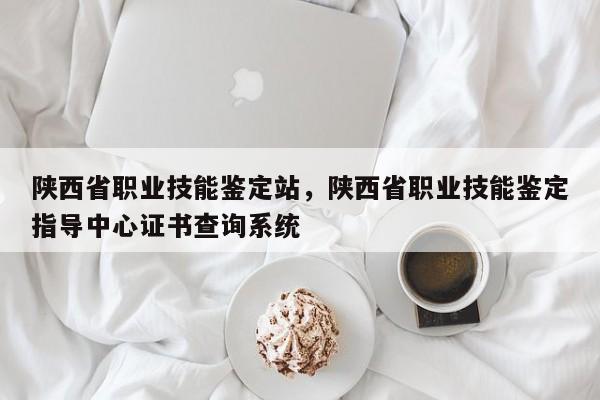 陕西省职业技能鉴定站，陕西省职业技能鉴定指导中心证书查询系统