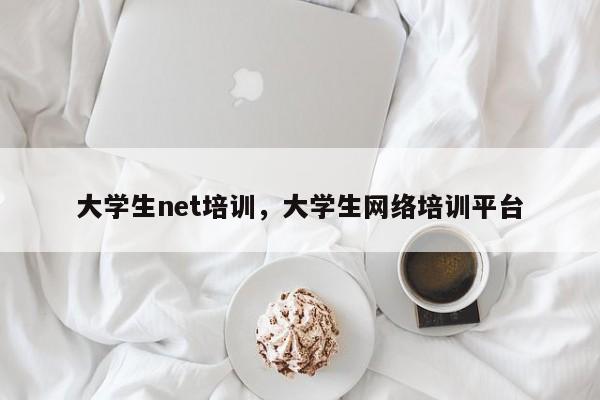 大学生net培训，大学生网络培训平台