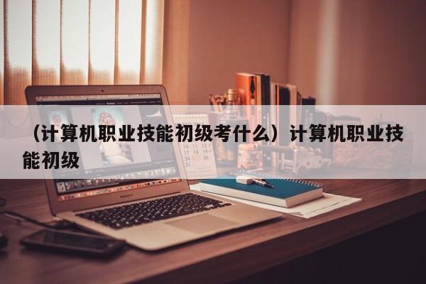 （计算机职业技能初级考什么）计算机职业技能初级