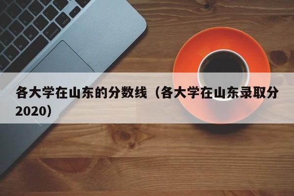 各大学在山东的分数线（各大学在山东录取分2020）