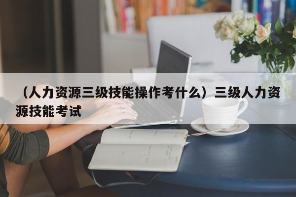 （人力资源三级技能操作考什么）三级人力资源技能考试