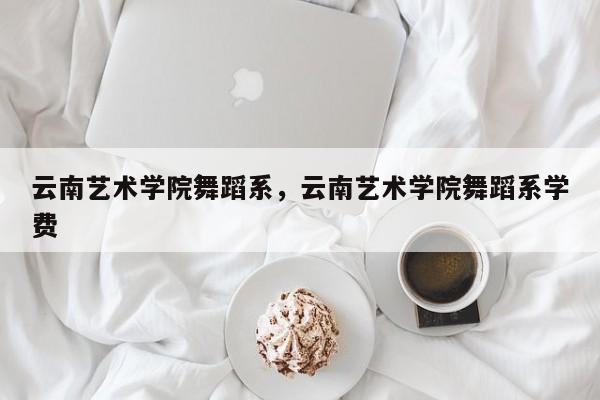 云南艺术学院舞蹈系，云南艺术学院舞蹈系学费